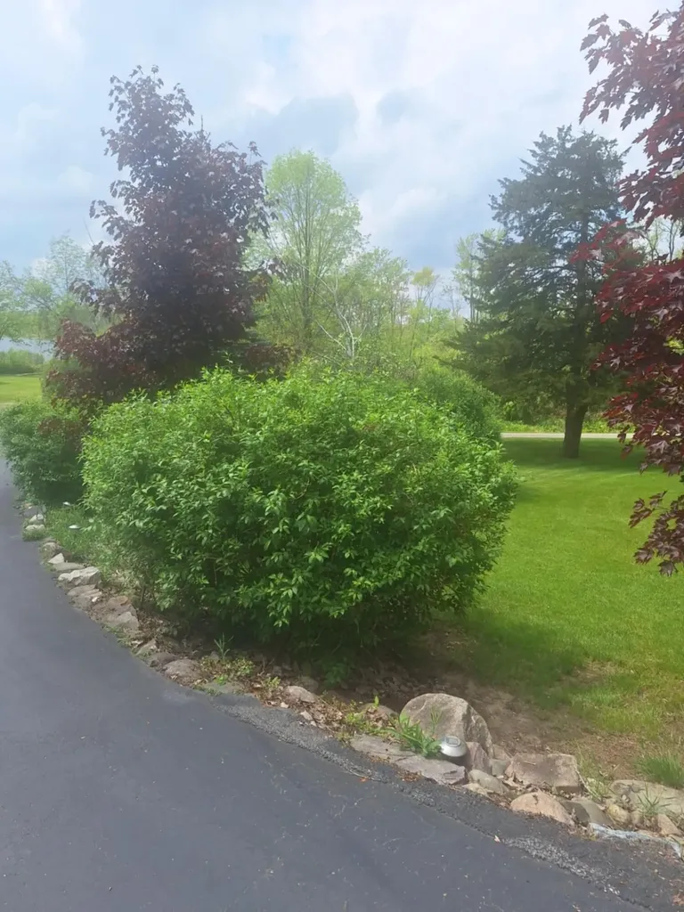 5211 Long Lake Road Reading Township MI 49274
