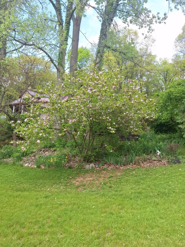 5211 Long Lake Road Reading Township MI 49274
