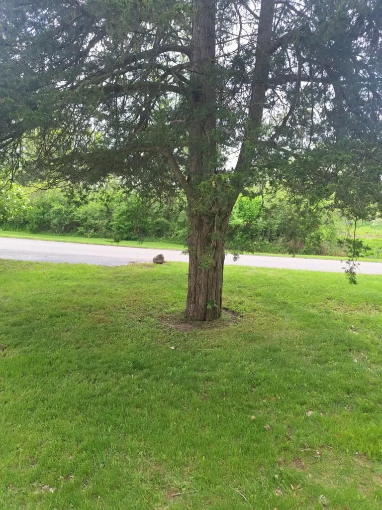 5211 Long Lake Road Reading Township MI 49274