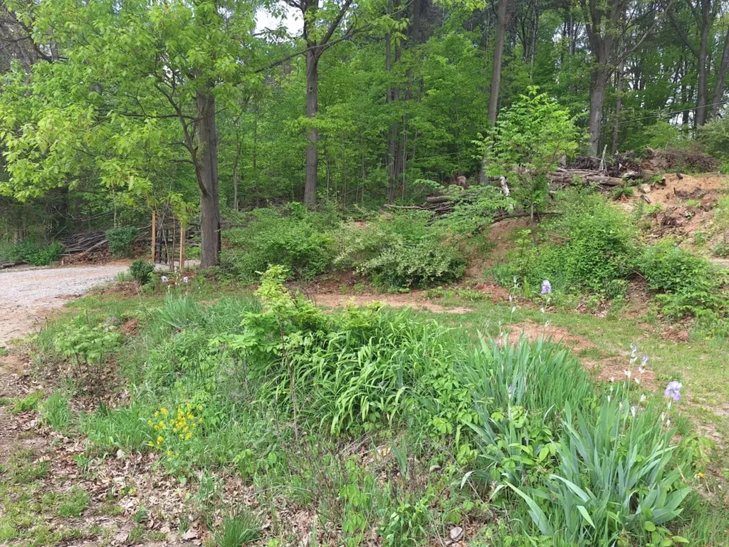5211 Long Lake Road Reading Township MI 49274