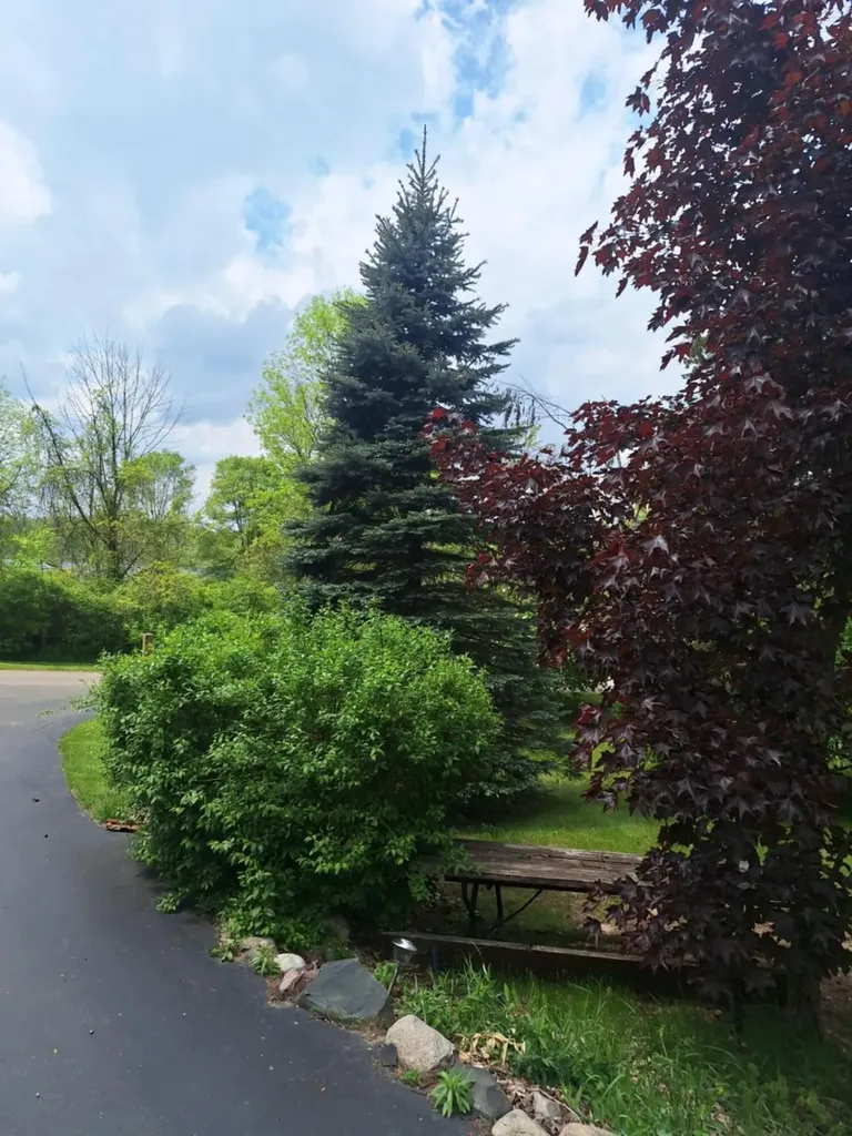 5211 Long Lake Road Reading Township MI 49274