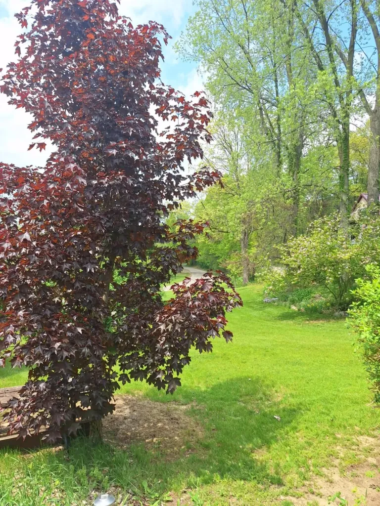 5211 Long Lake Road Reading Township MI 49274