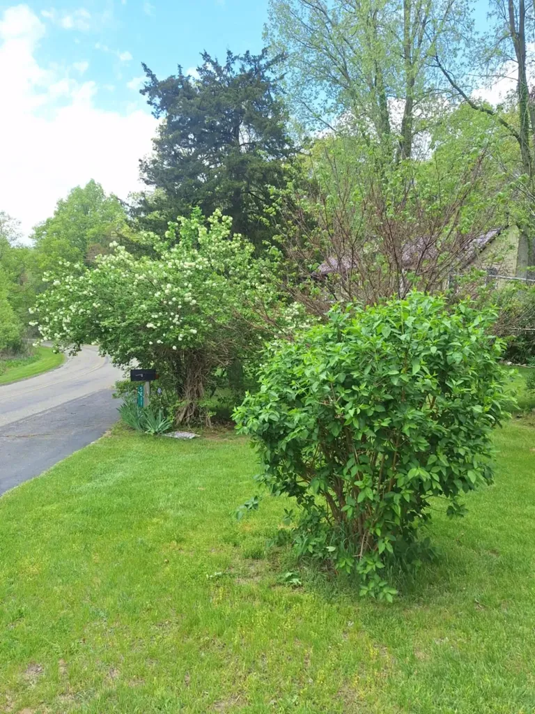 5211 Long Lake Road Reading Township MI 49274