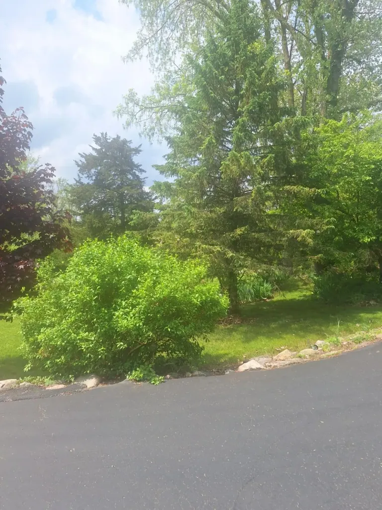 5211 Long Lake Road Reading Township MI 49274