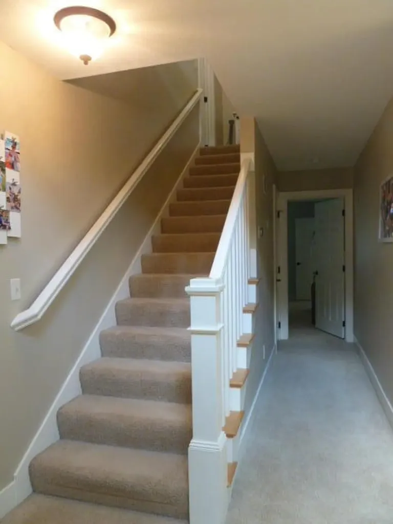 14376 Horn Drive Amboy Township MI 49232