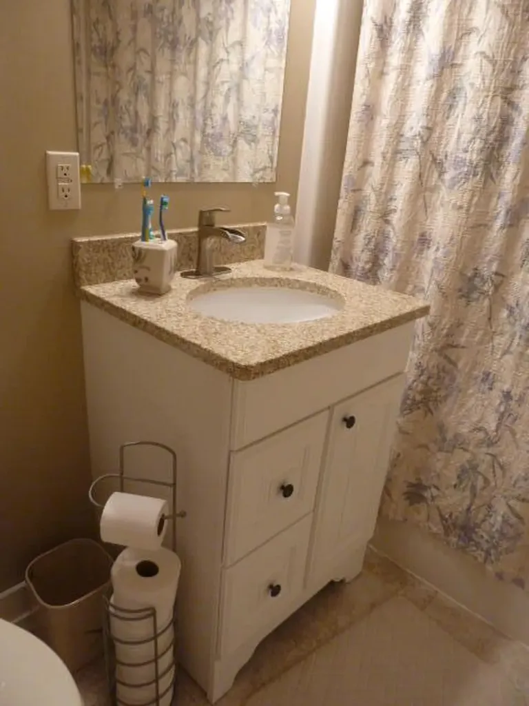 14376 Horn Drive Amboy Township MI 49232