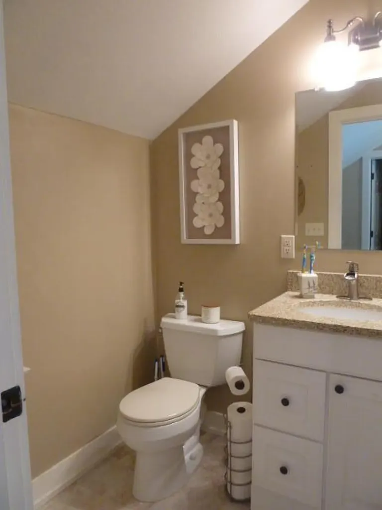 14376 Horn Drive Amboy Township MI 49232