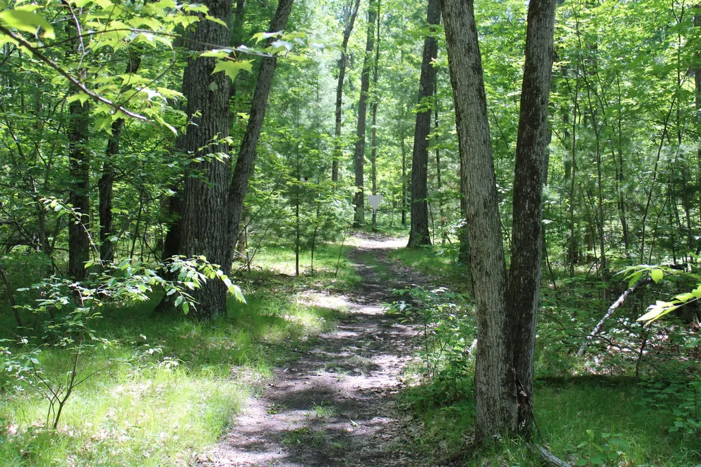 11870 Bayer Road Gerrish Township MI 48653