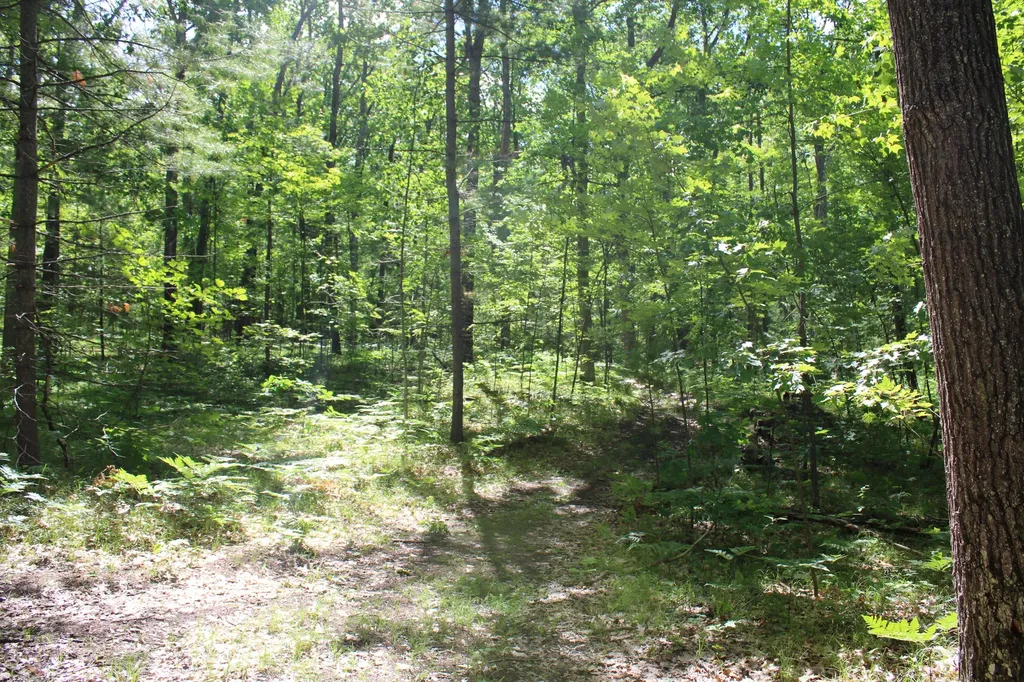 11870 Bayer Road Gerrish Township MI 48653