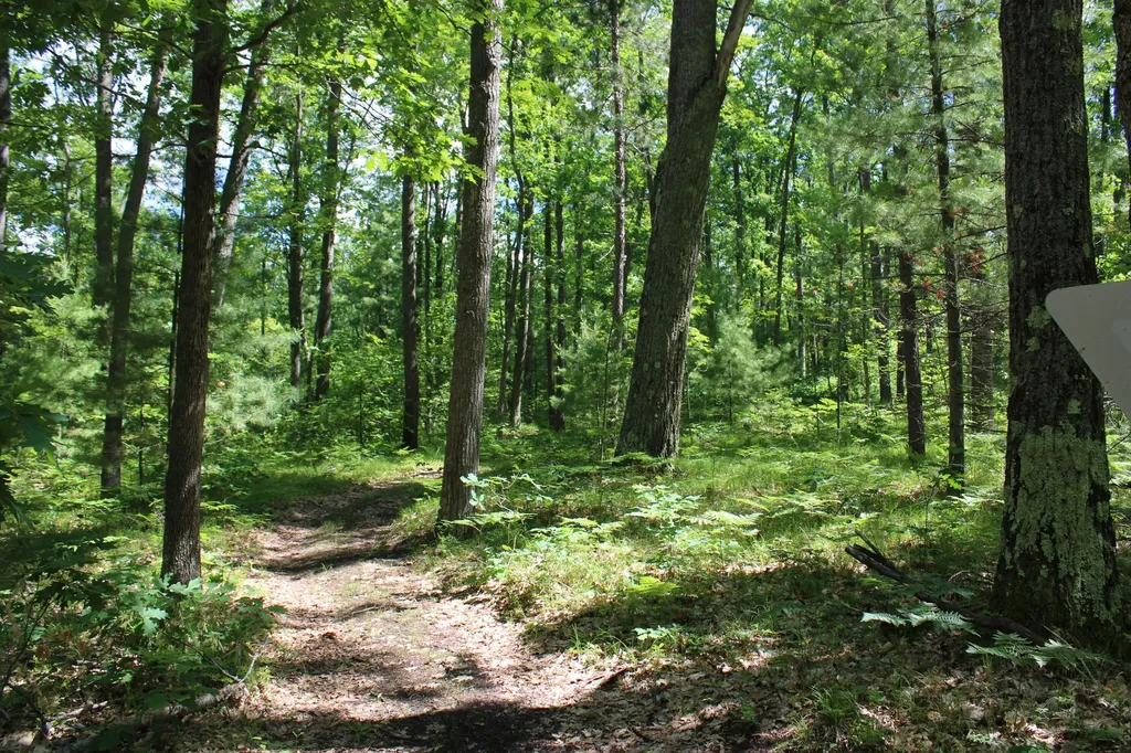 11870 Bayer Road Gerrish Township MI 48653