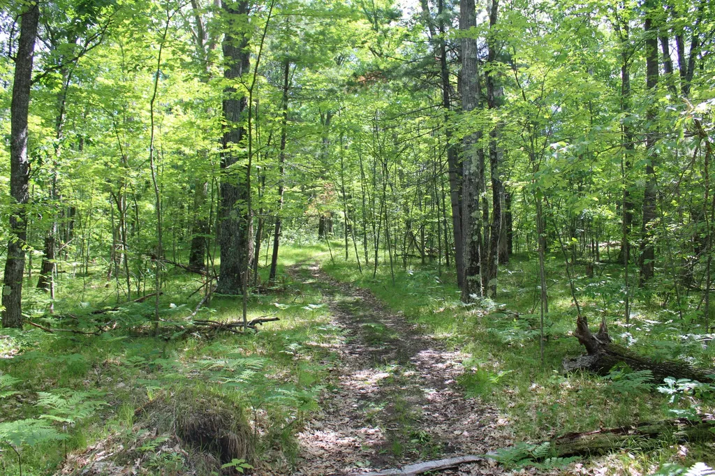 11870 Bayer Road Gerrish Township MI 48653