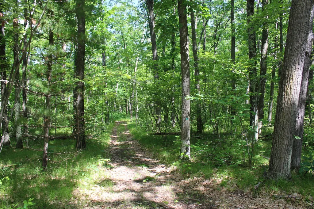 11870 Bayer Road Gerrish Township MI 48653