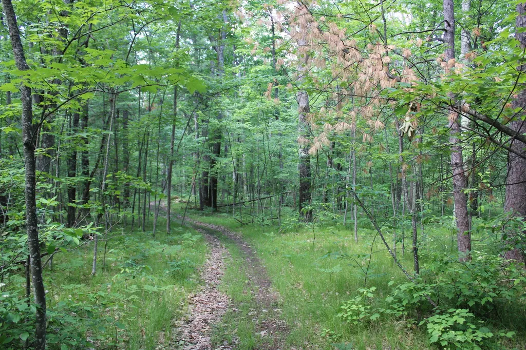 11870 Bayer Road Gerrish Township MI 48653