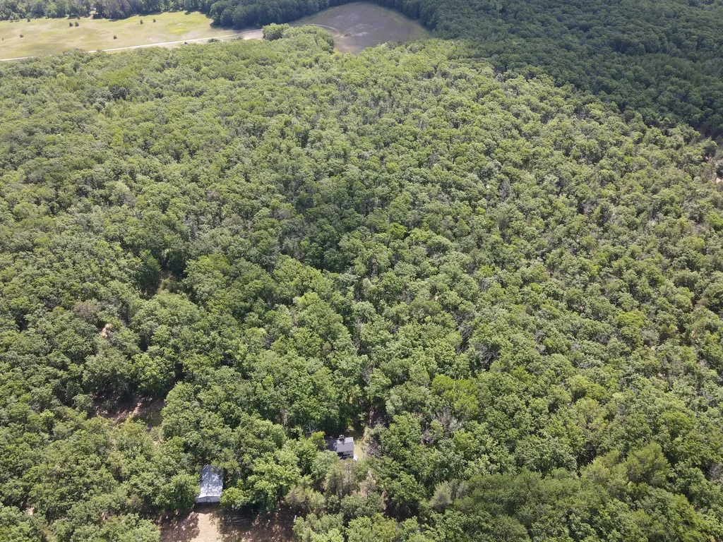 11870 Bayer Road Gerrish Township MI 48653
