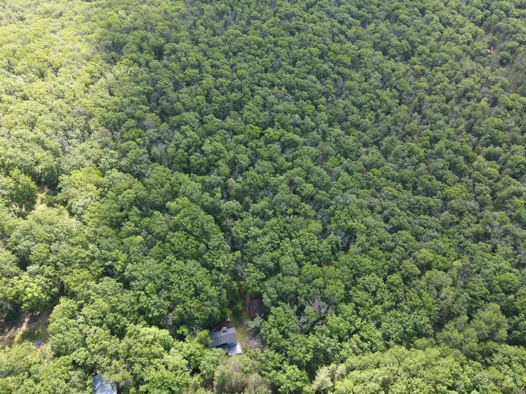 11870 Bayer Road Gerrish Township MI 48653