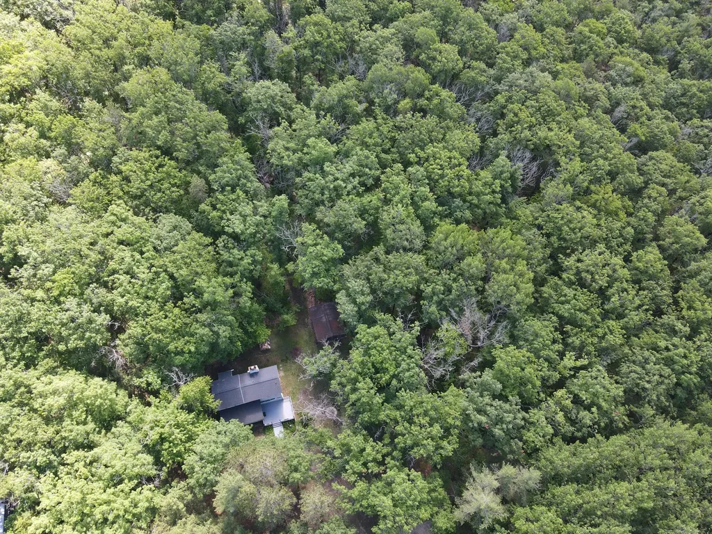 11870 Bayer Road Gerrish Township MI 48653