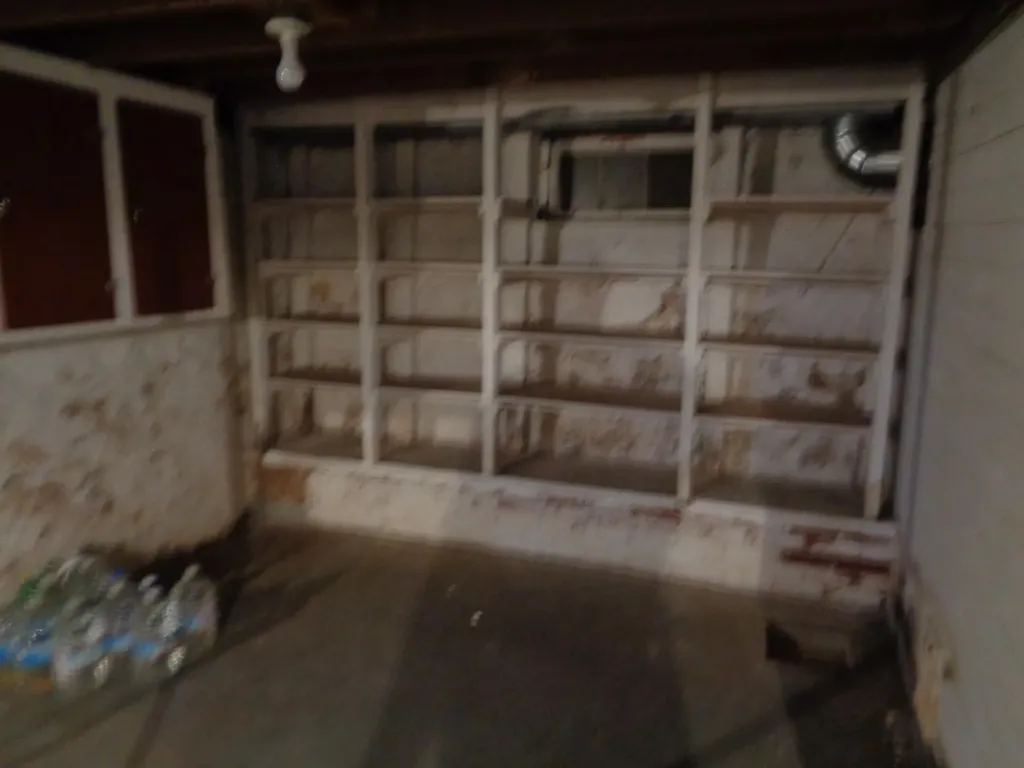 1311 E Montgomery Road Woodbridge Township MI 49242