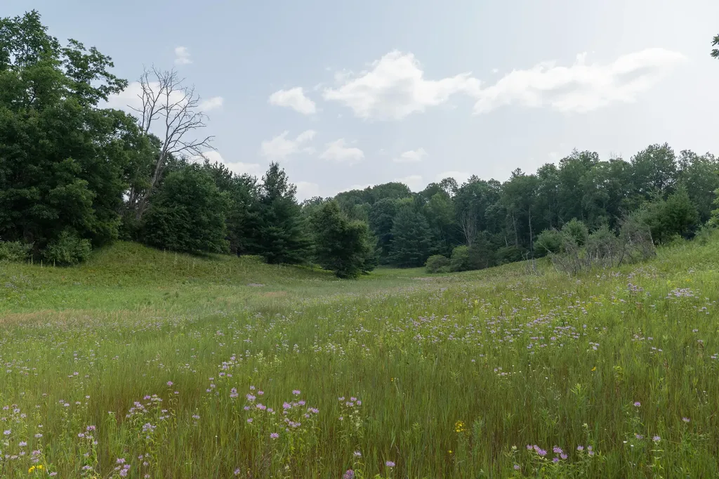3820 N Beech Avenue Goodwell Township MI 49349