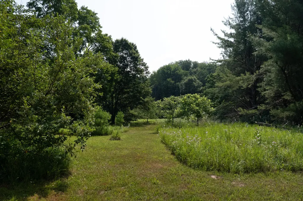 3820 N Beech Avenue Goodwell Township MI 49349