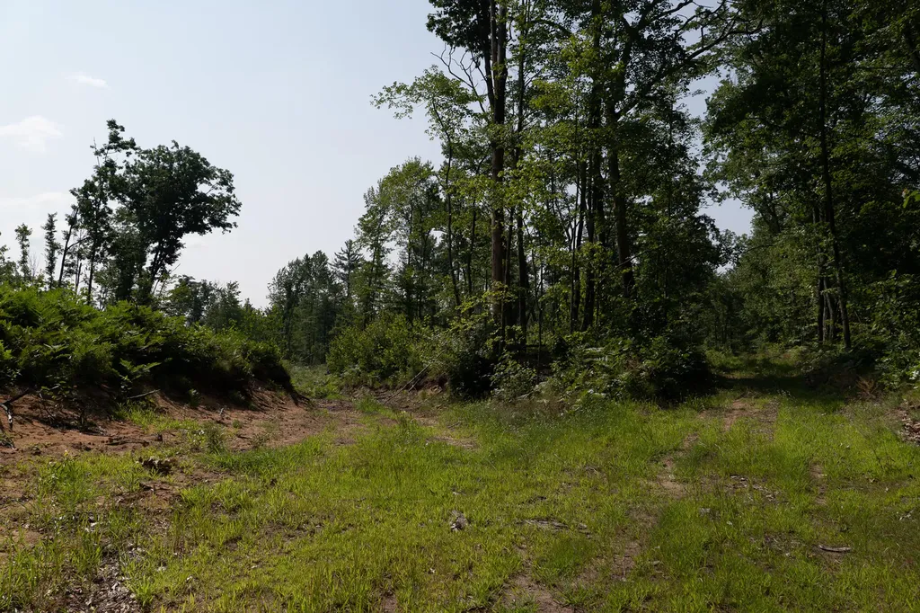 3820 N Beech Avenue Goodwell Township MI 49349