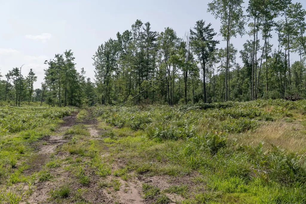 3820 N Beech Avenue Goodwell Township MI 49349