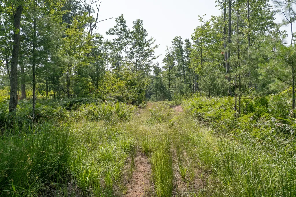 3820 N Beech Avenue Goodwell Township MI 49349