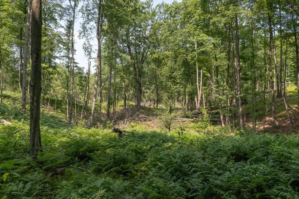 3820 N Beech Avenue Goodwell Township MI 49349