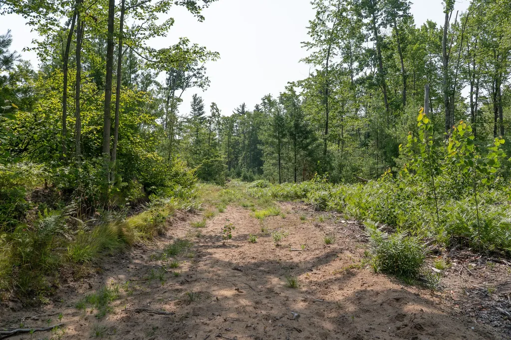 3820 N Beech Avenue Goodwell Township MI 49349