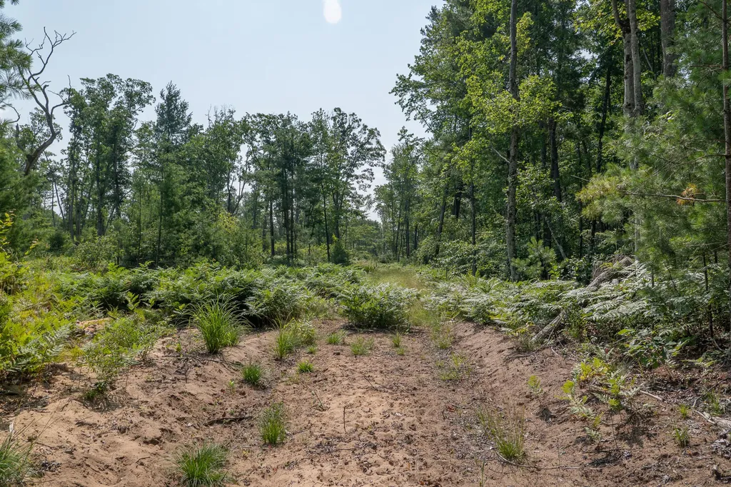 3820 N Beech Avenue Goodwell Township MI 49349