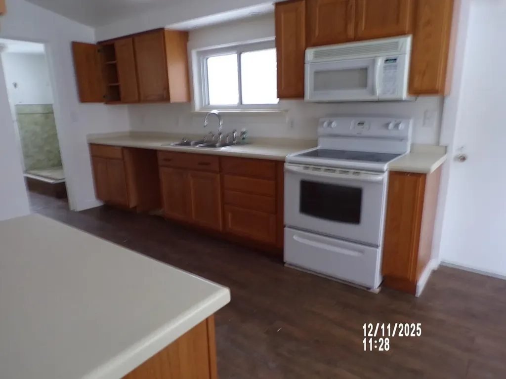 305 W Pine Street Big Rapids City MI 49307
