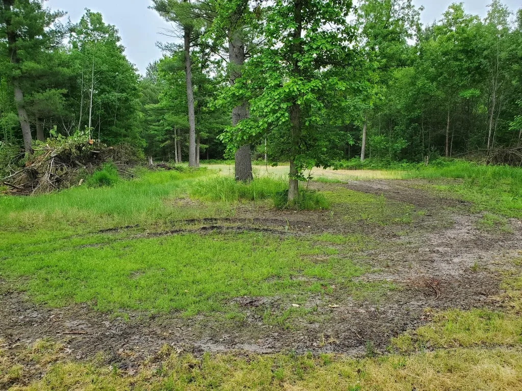 5242 S Forest Drive Unknown City MI 49304