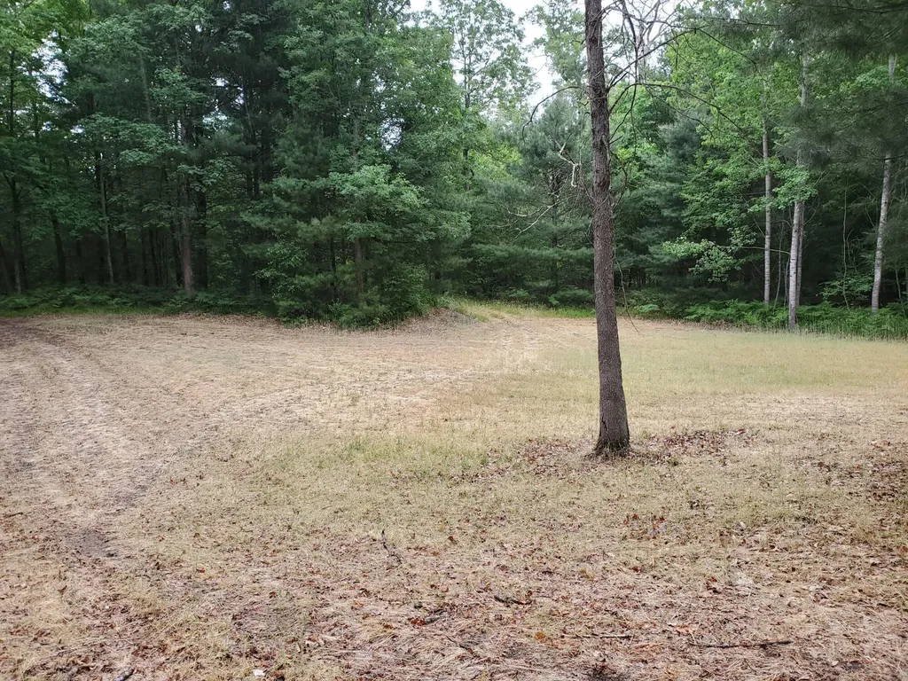 5242 S Forest Drive Unknown City MI 49304