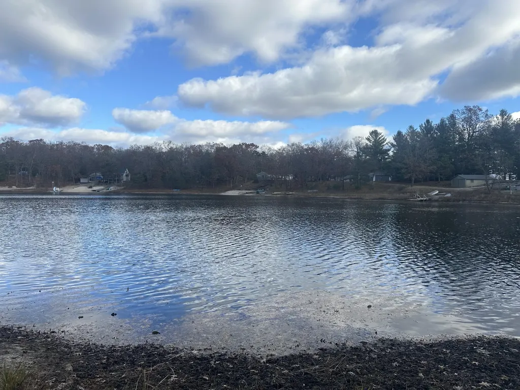 10018 S Rebecca Road Lake Township MI 49304