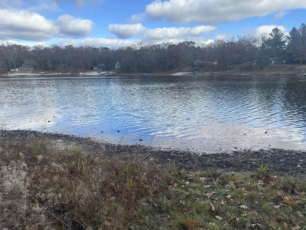10018 S Rebecca Road Lake Township MI 49304