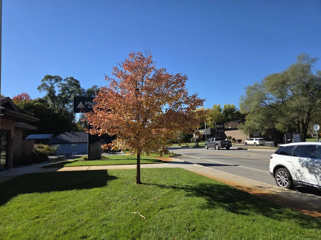 165 W Wheatland Avenue Wheatland Township MI 49340