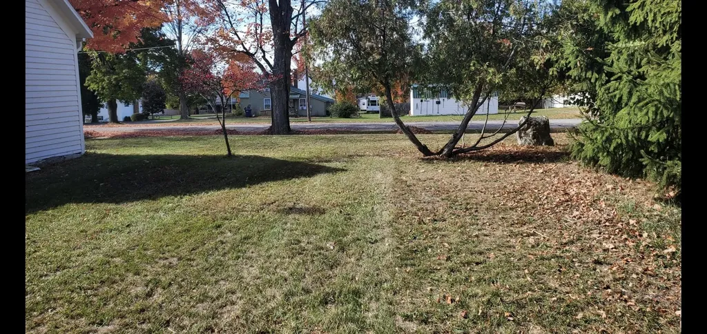 306 N Carland Street Marion Township MI 49665