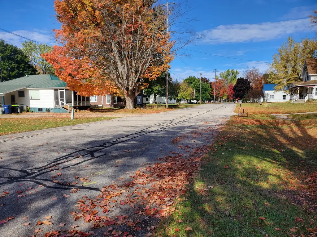 306 N Carland Street Marion Township MI 49665
