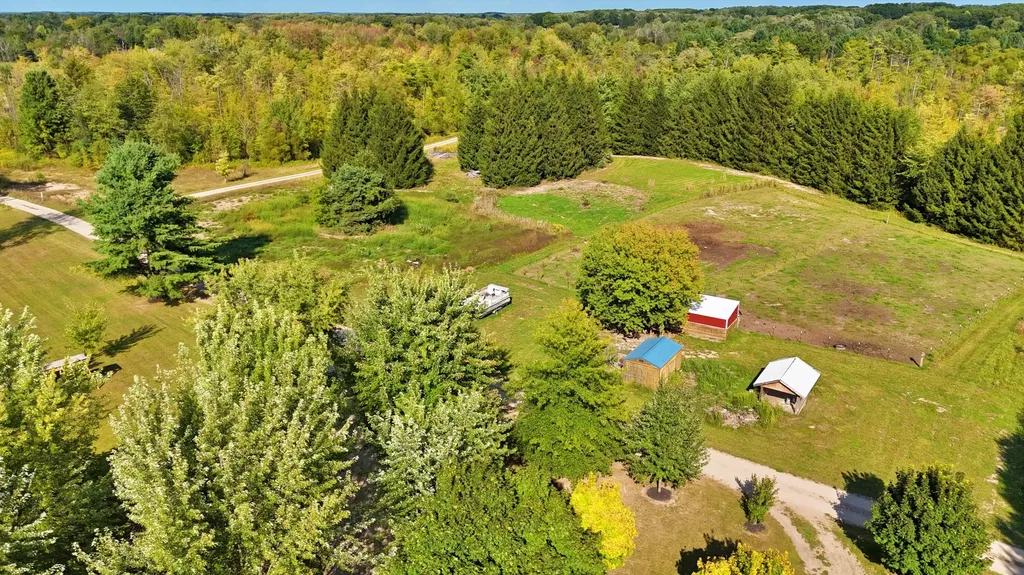 491 Bitter Creek Lane Pierson Township MI 49339