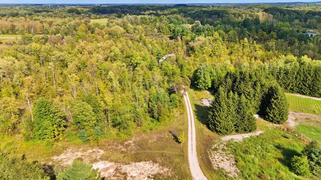 491 Bitter Creek Lane Pierson Township MI 49339