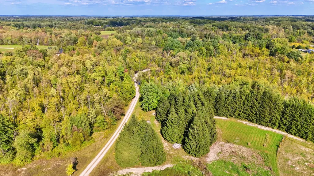 491 Bitter Creek Lane Pierson Township MI 49339