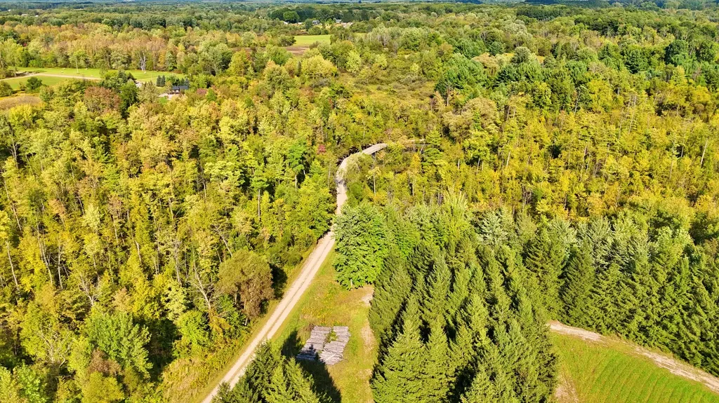 491 Bitter Creek Lane Pierson Township MI 49339