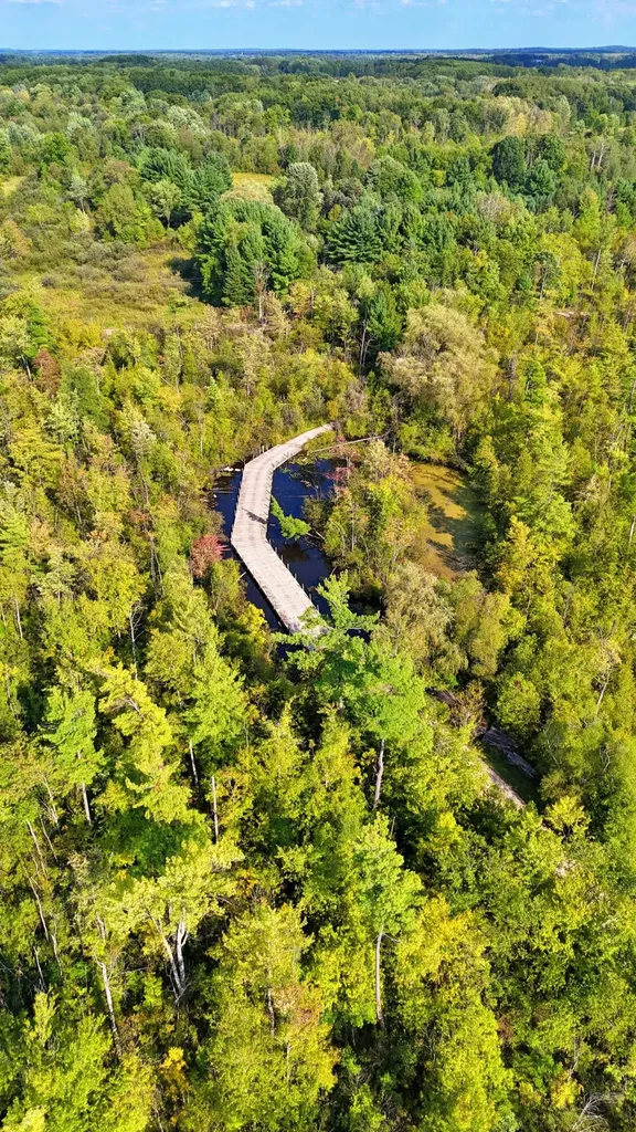 491 Bitter Creek Lane Pierson Township MI 49339