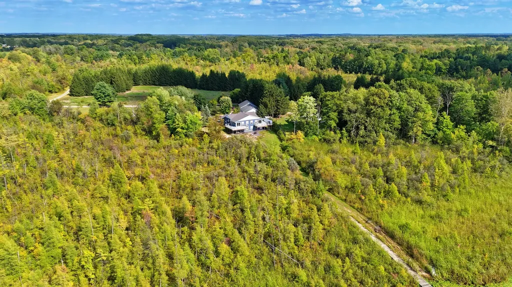491 Bitter Creek Lane Pierson Township MI 49339