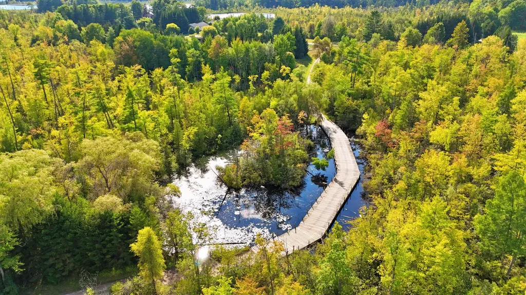 491 Bitter Creek Lane Pierson Township MI 49339