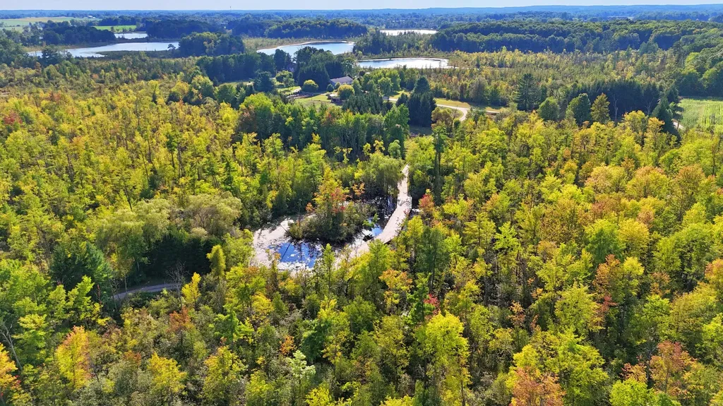 491 Bitter Creek Lane Pierson Township MI 49339