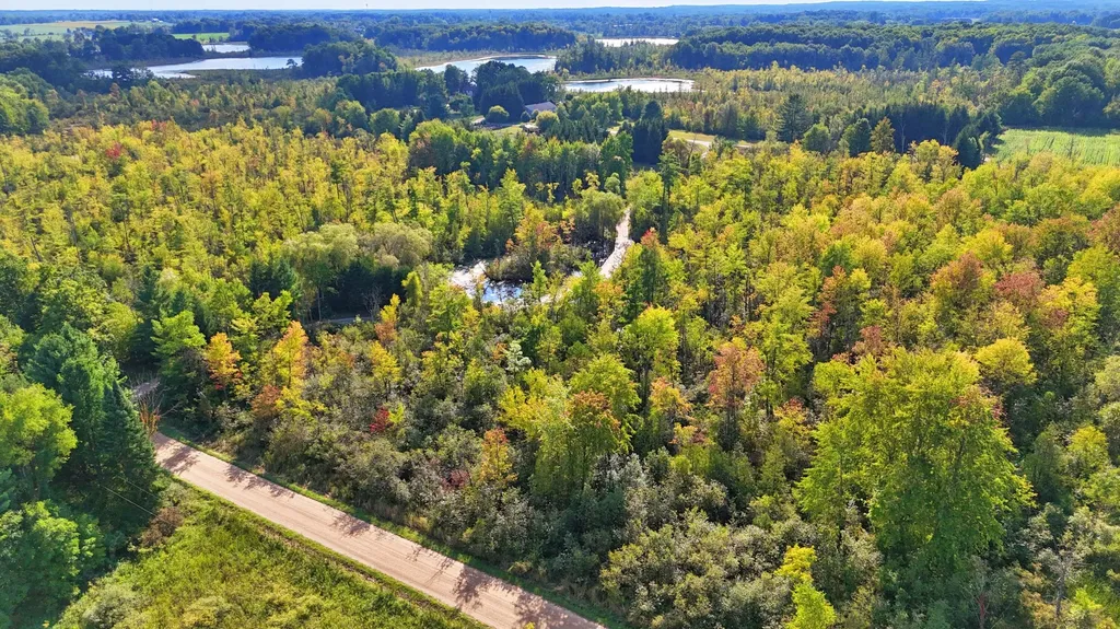 491 Bitter Creek Lane Pierson Township MI 49339