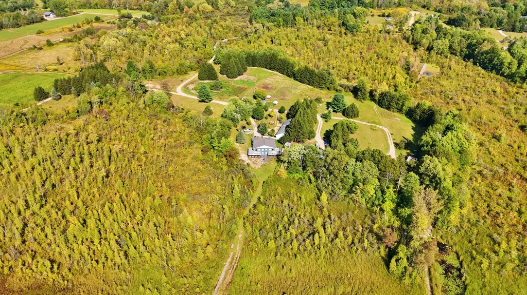 491 Bitter Creek Lane Pierson Township MI 49339