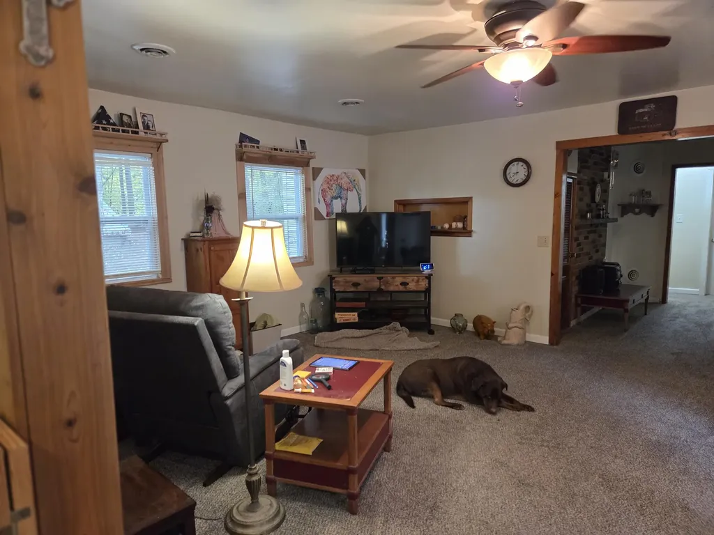 4280 Birch Drive Gilmore Township MI 48632