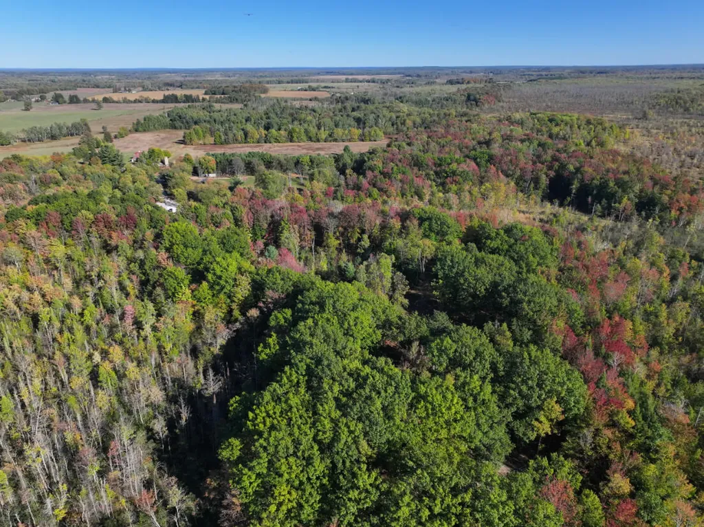 2697 N 176th Avenue Leavitt Township MI 49459
