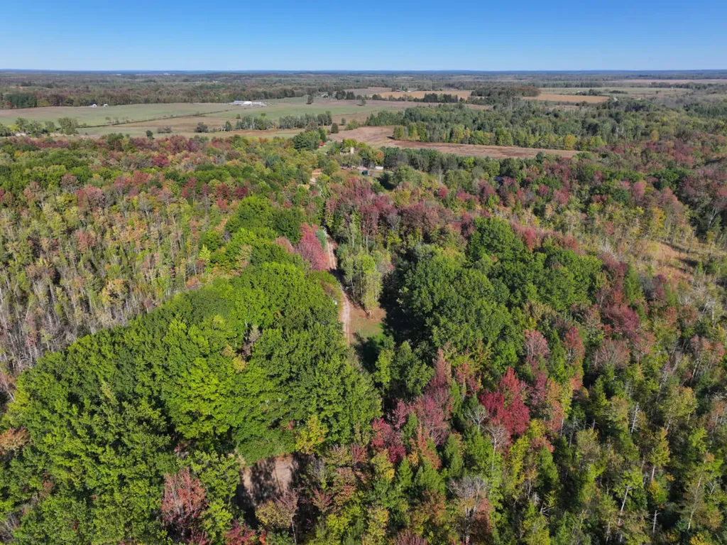 2697 N 176th Avenue Leavitt Township MI 49459